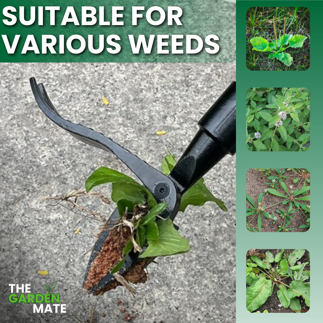 GardenMate™ - Stand Up Weeder