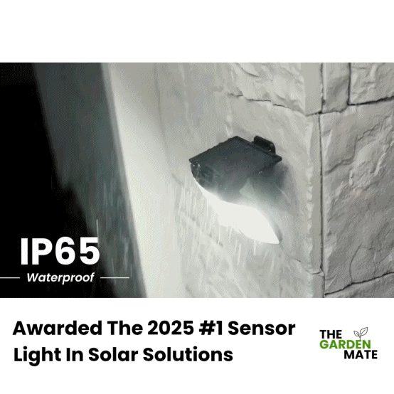 Triple Head Solar Security Motion Light