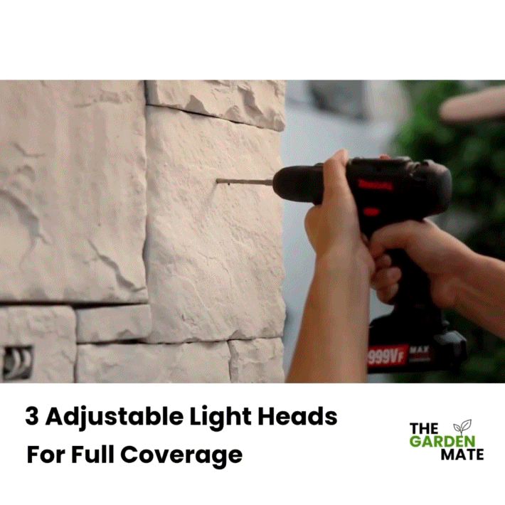 Triple Head Solar Security Motion Light