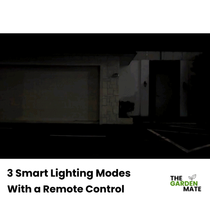 Triple Head Solar Security Motion Light