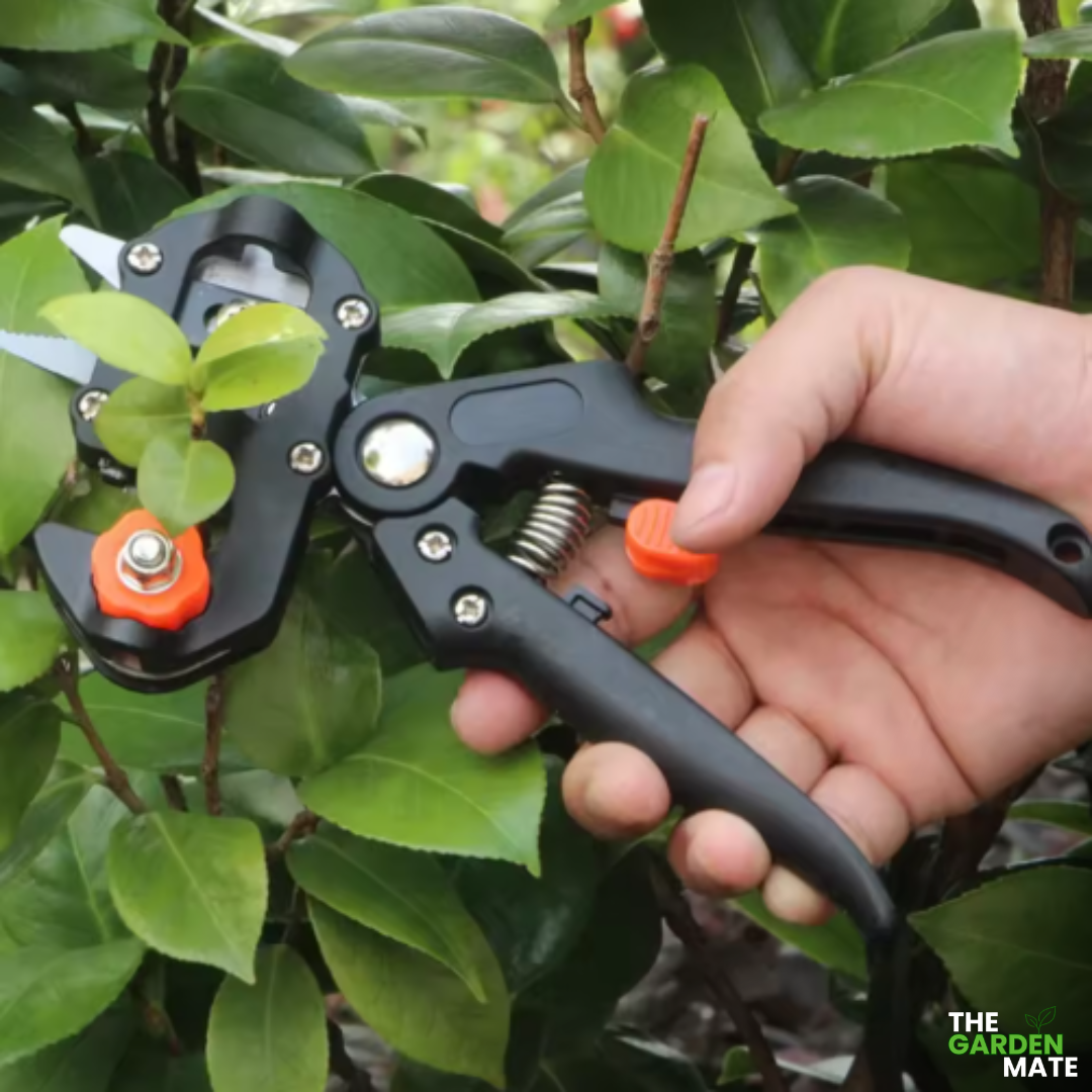 GardenMate™ - Professional Grafting Tool