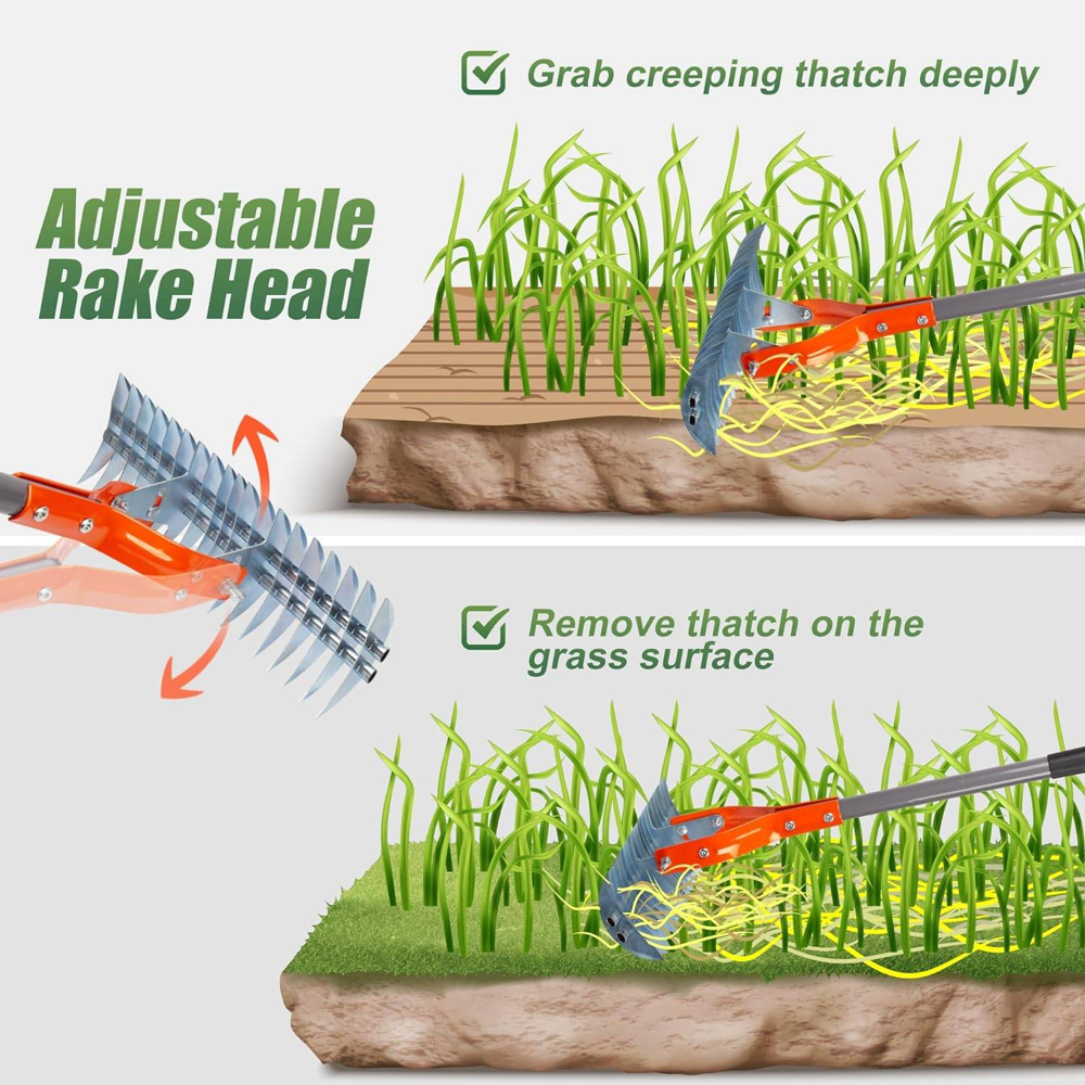 Extending Rakes Extendable Dethatching rake - (50% OFF TODAY)