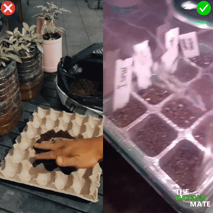 GardenMate™ - Seed Starter Kit