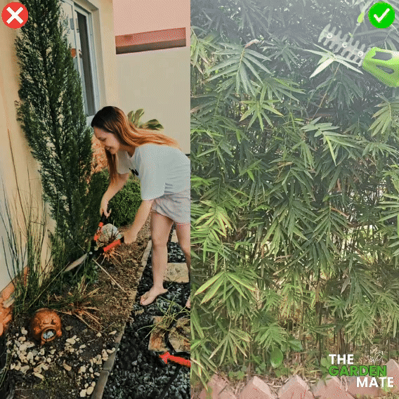 GardenMate™ - Handheld Hedge Trimmers