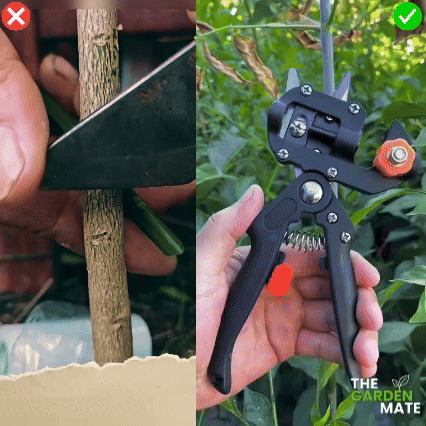 GardenMate™ - Professional Grafting Tool