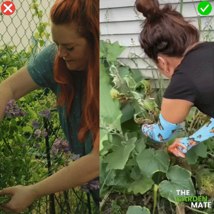 GardenMate™ - Garden Protection Sleeves